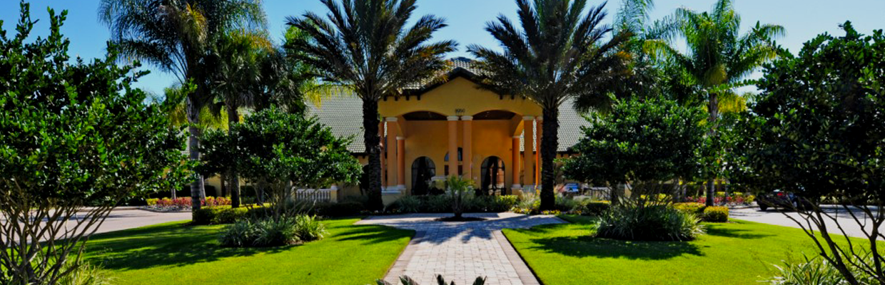 Image Title My Image