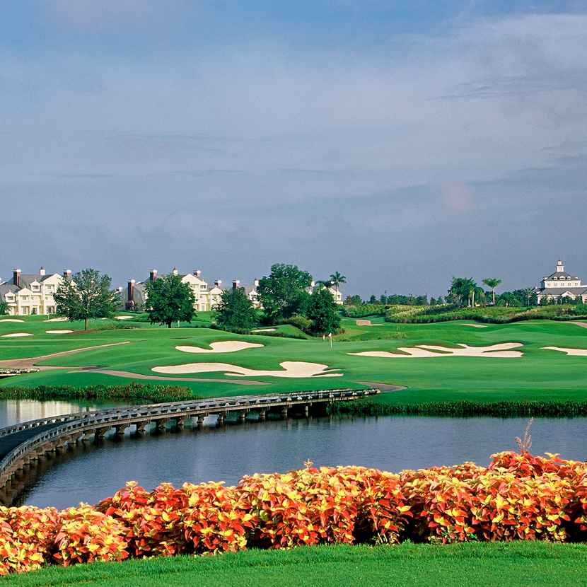 Image Title My Image